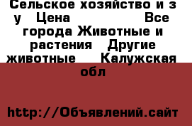 Сельское хозяйство и з/у › Цена ­ 2 500 000 - Все города Животные и растения » Другие животные   . Калужская обл.